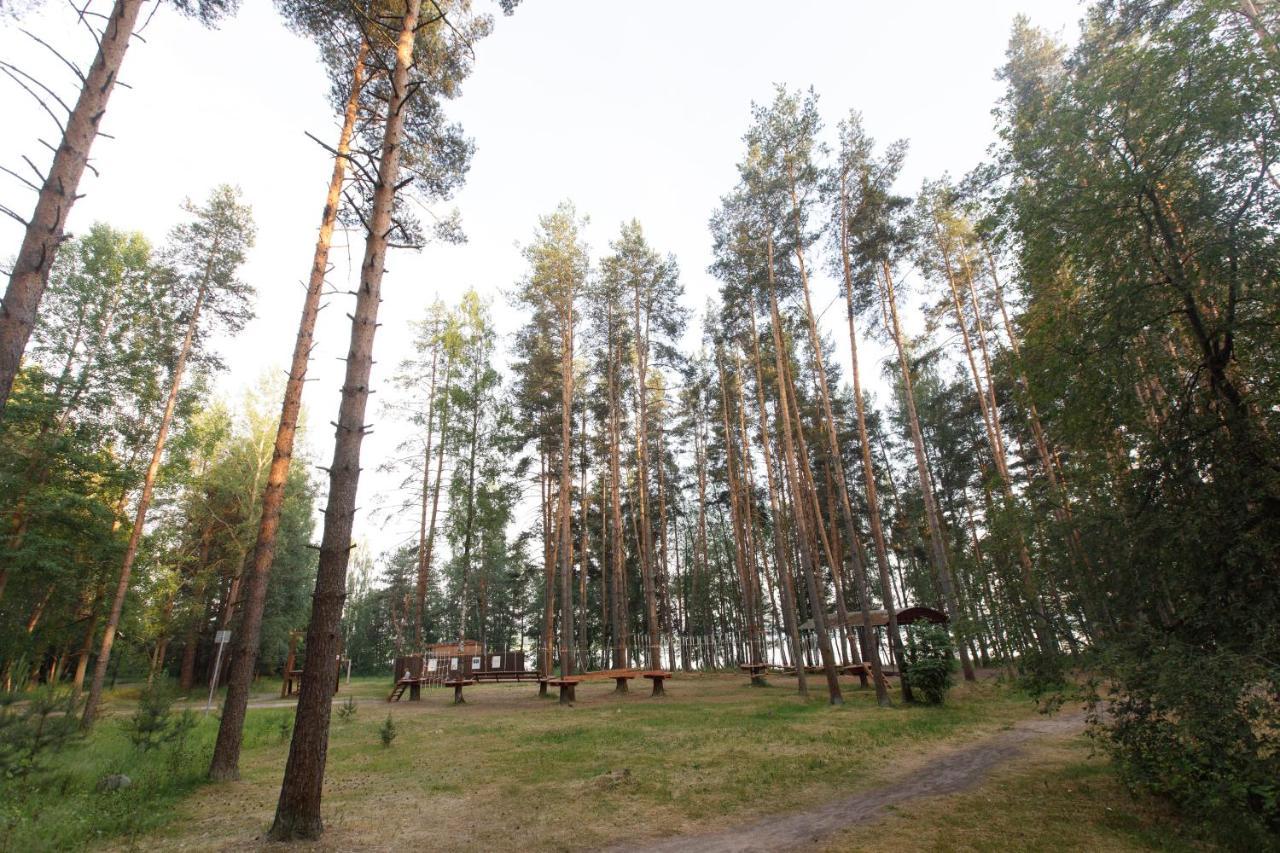 Лосево парк. Лосево парк Ленинградская область. Лосево парк база отдыха. Вуокса парк Лосево.